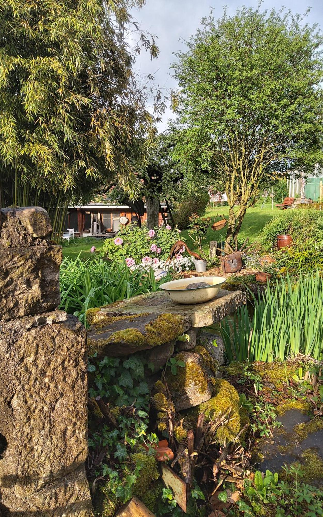 Le Grive Bed and Breakfast Chevremont Buitenkant foto
